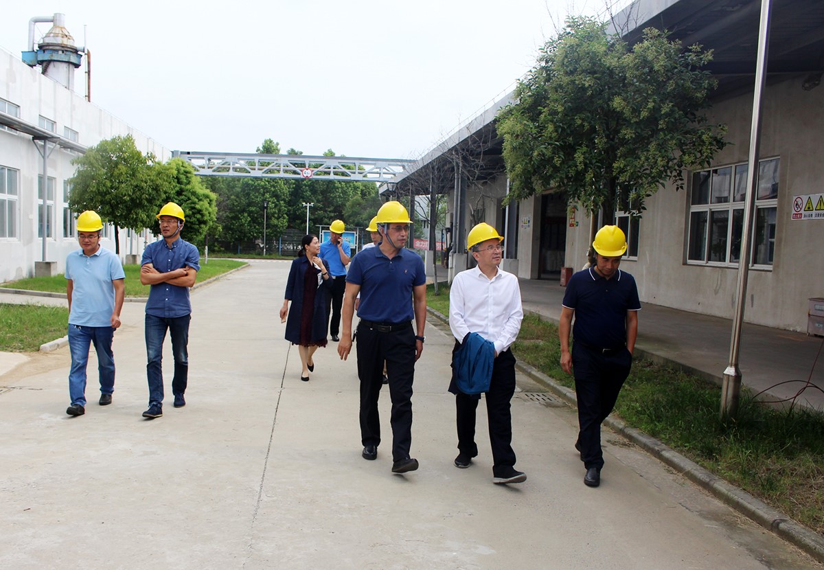 孙洪武副院长一行赴星空体育·(StarSky Sports)官方网站公司督查指导安全生产工作