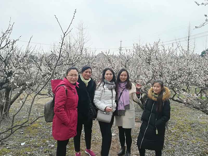 星空体育·(StarSky Sports)官方网站工会开展庆“三八”踏春赏梅活动